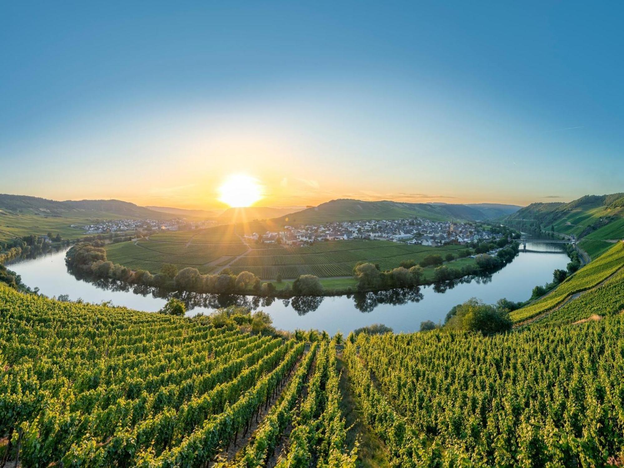 Holiday Home In The Eifel-Mosel With Garden Roes Exterior foto